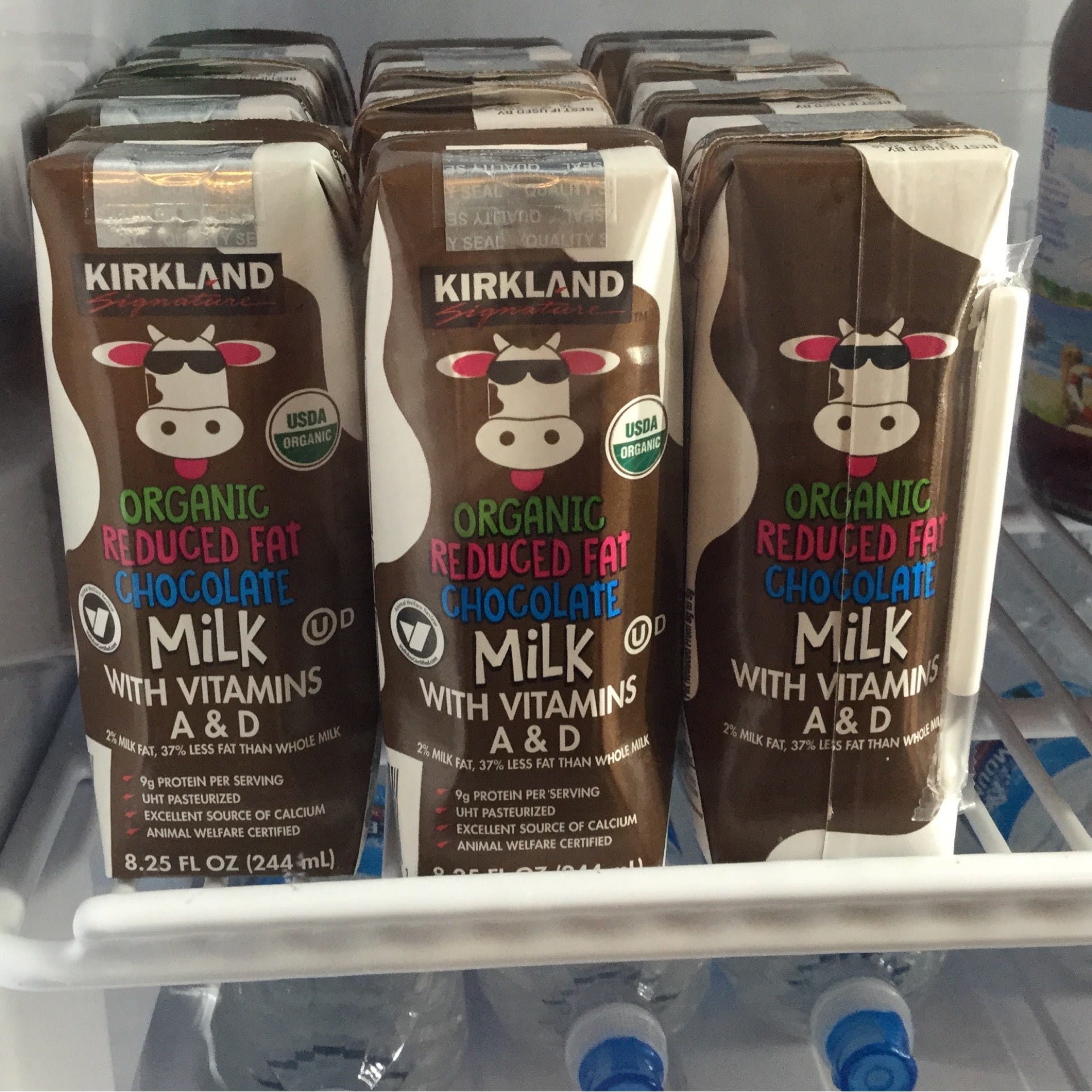 Organic Whole Chocolate Milk